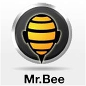 Mr. Bee