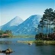 رحیم سهرابی