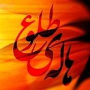 شفیقه طهماسبی