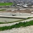 هنر سیمانی