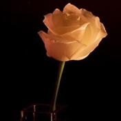 فراصوت (#آتش_به_اختیار)