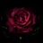 Crimson Rose