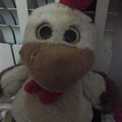 آیدا عاشق سوربهی