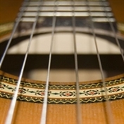 امیر سالاریان