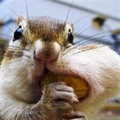 funny