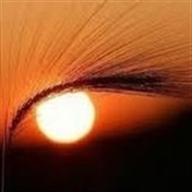 صبا89 ، نماشا چرا اینهمه فیلتر ؟