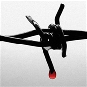 کتابخانه آیت الله  احمدی