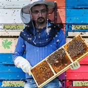 بهترین عسل فروشی تهران