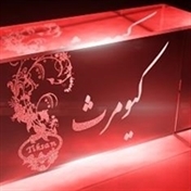 کیومرث حسنی (زرجه بستانی)
