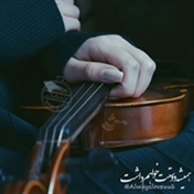 Fatemeh.78