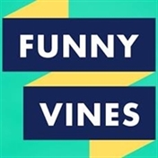 funnyvines