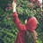 it.is_sidra