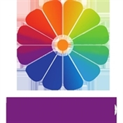 دکتر پیمان کیمیا