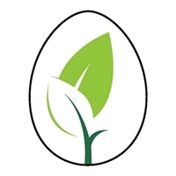 فروشگاه چیکن هچ