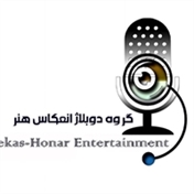 گروه دوبلاژ انعکاس هنر