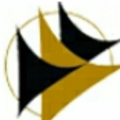 جاویدان تیم