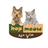 toufan