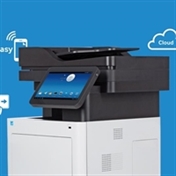 دکوراتوریست