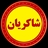 سبقت برتر