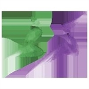 خیریه ترنم ( تعالی راه نیکی و مهر )