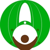 پایدار موبایل