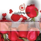 سابین تجارت آریا