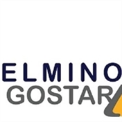 علمینوگستر