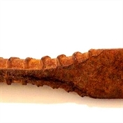 سید ابوالحسن نوری