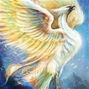 لاله واژگون /یلدا بانو سابق/