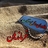 دلاوران دفاع مقدس : فرماندهان