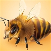 آموزش میکس و مسترینگ زنبورعسل