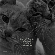 LoVeMiX