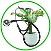گیاه پزشک | Plant Protection