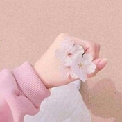 ♫︎♡︎ ᴀɴᴀˡⁱ ♡︎♫︎