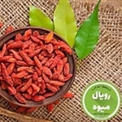 گوجی بری