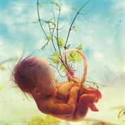 از دانستن لذت ببرید