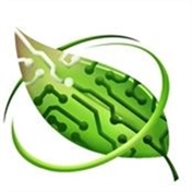 ذهن بورسی