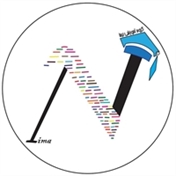 گروه آموزشی نیما