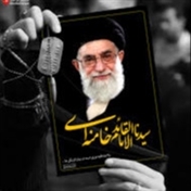 محمد مهدی صدیق نیا