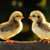 شرکت آموزشی ایران اورس