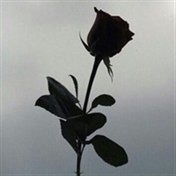 Lonely Rose