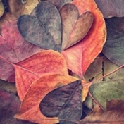 سحر_دلبرانه