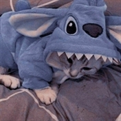 ༒︎ᵉˣᵒ-ˡᵒᵛᵉʳ-ᵉᵈⁱᵗ-༒︎