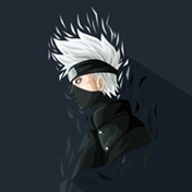 Kakashi 313