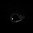 Lonely_ whale