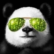 چپی گیم | Chapi Game