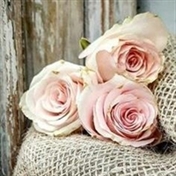 واحد مشاوره دبیرستان امین فاطمه الزهرا