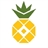 فروشگاه محصولات ارگانیک آناناس