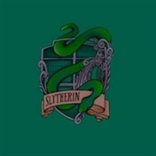 • SLYTHERIN •