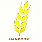 Gandoomc.com